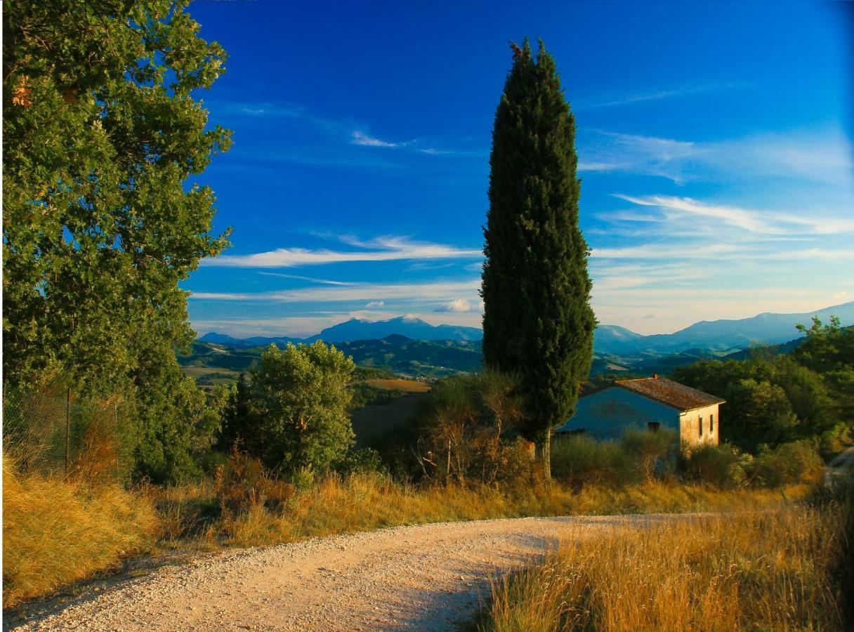 Ca'Lavalle B&B Urbino Bagian luar foto